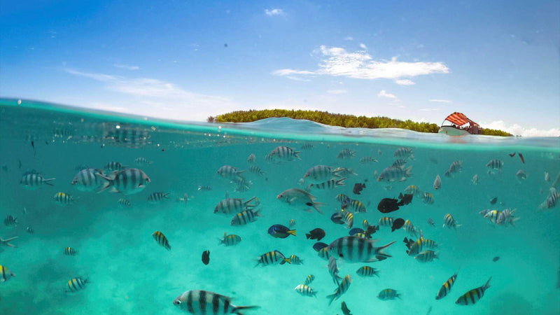 Bahamas